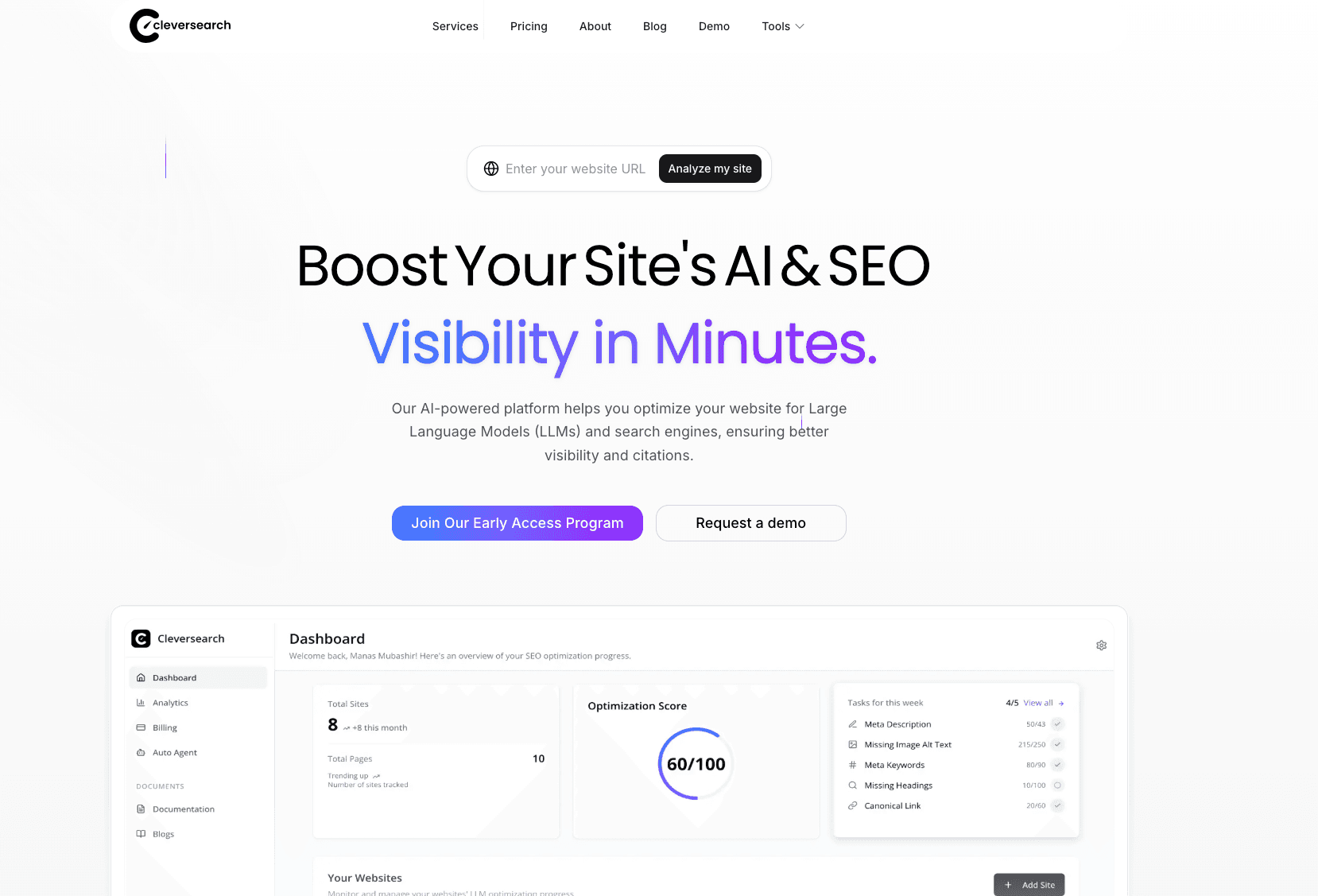 Clever Search project